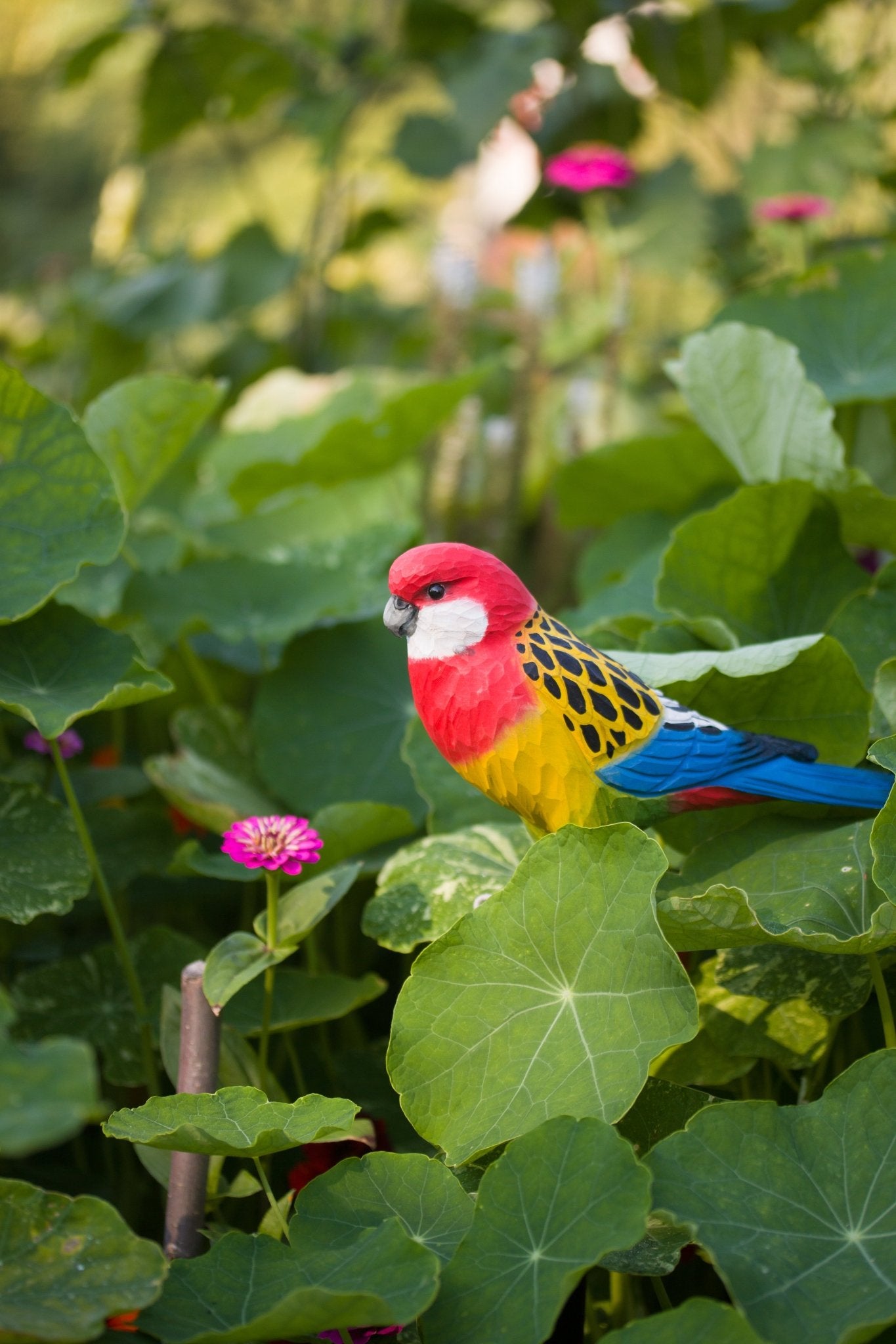 Rosellaparakit DecoBird - NaturHandel.dk