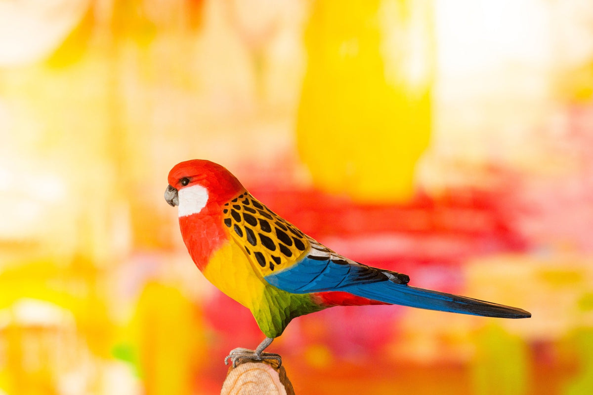 Rosellaparakit DecoBird - NaturHandel.dk