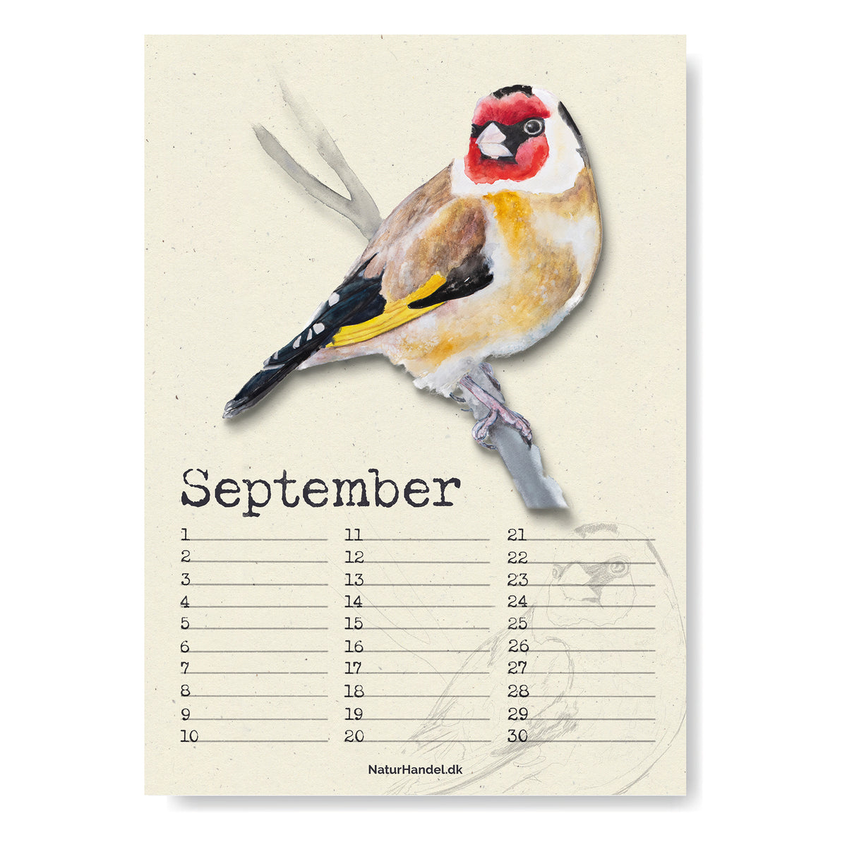 Evighedskalender med fugle i A4 - NaturHandel.dk