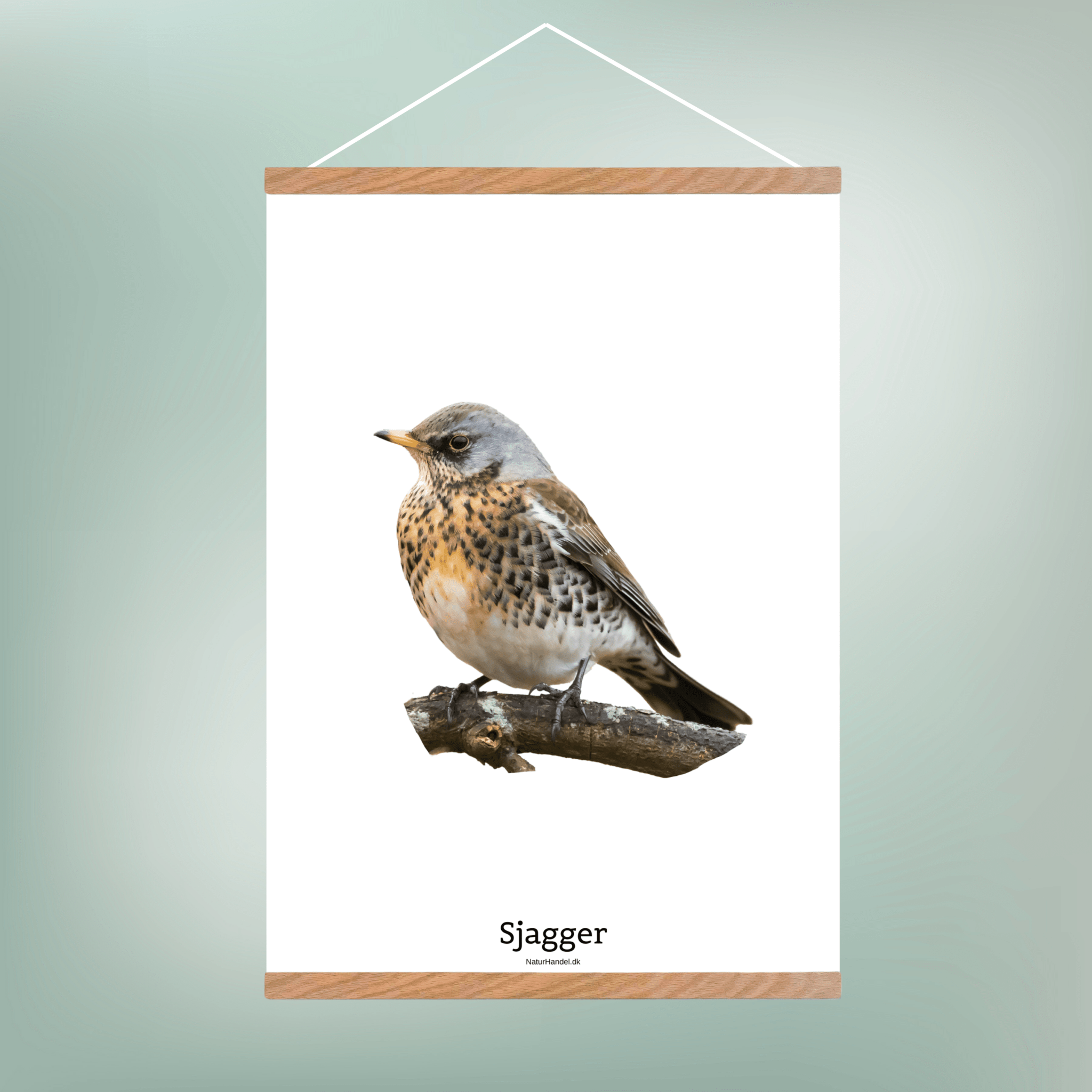 Sjagger - NaturHandel.dk