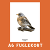SJAGGER A6 FUGLEKORT - PR. STK. - NaturHandel.dk