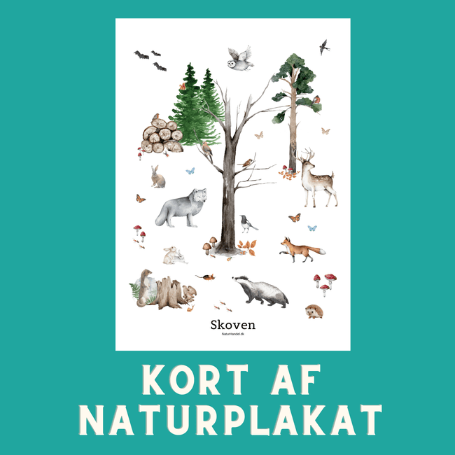 SKOVEN A6 KORT - NaturHandel.dk