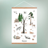 Skoven Plakat - Børneplakat - NaturHandel.dk