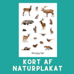 SKOVENS DYR A6 KORT - NaturHandel.dk