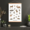 Skovens Dyr Plakat - NaturHandel.dk