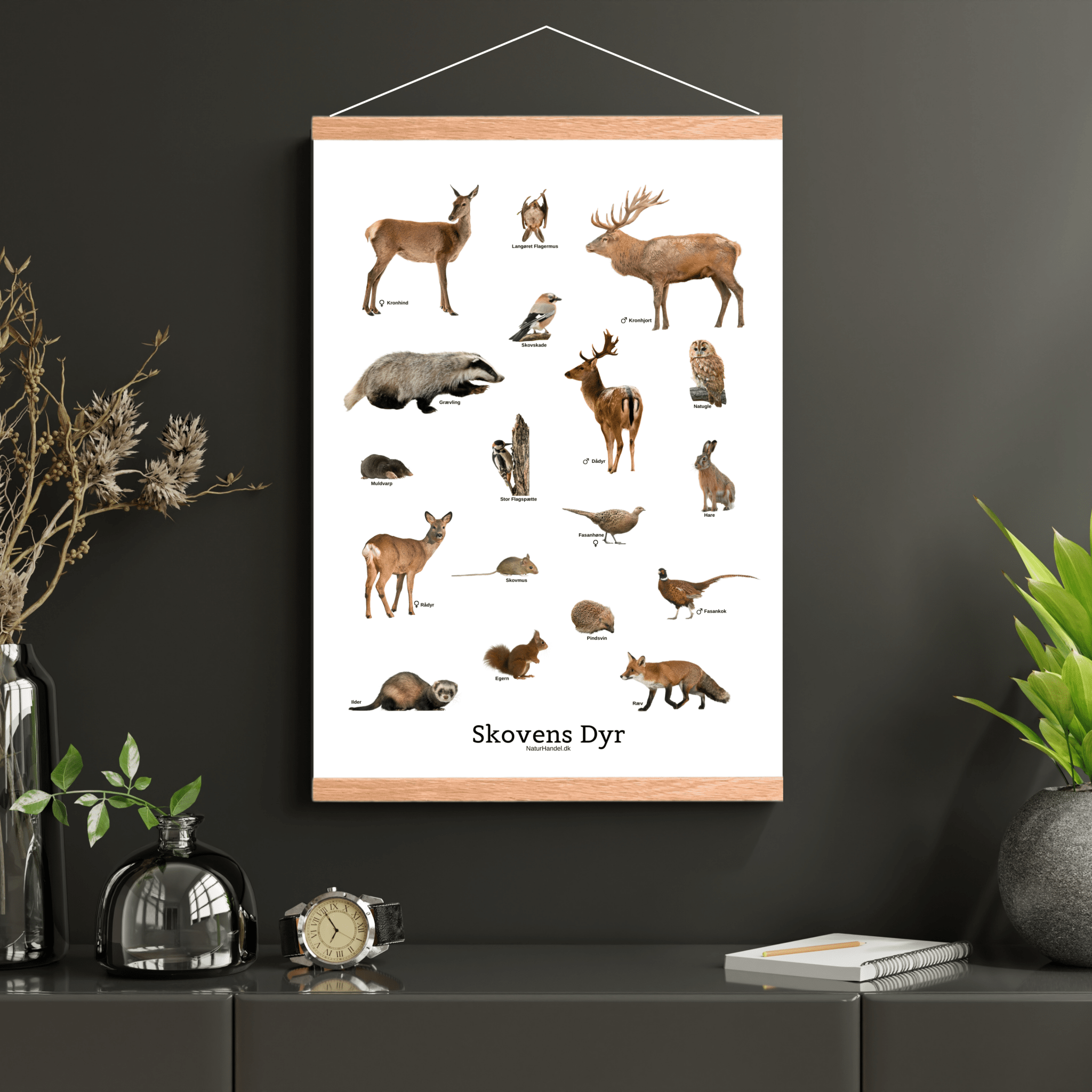 Skovens Dyr Plakat - NaturHandel.dk