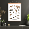 Skovens Dyr Plakat - NaturHandel.dk