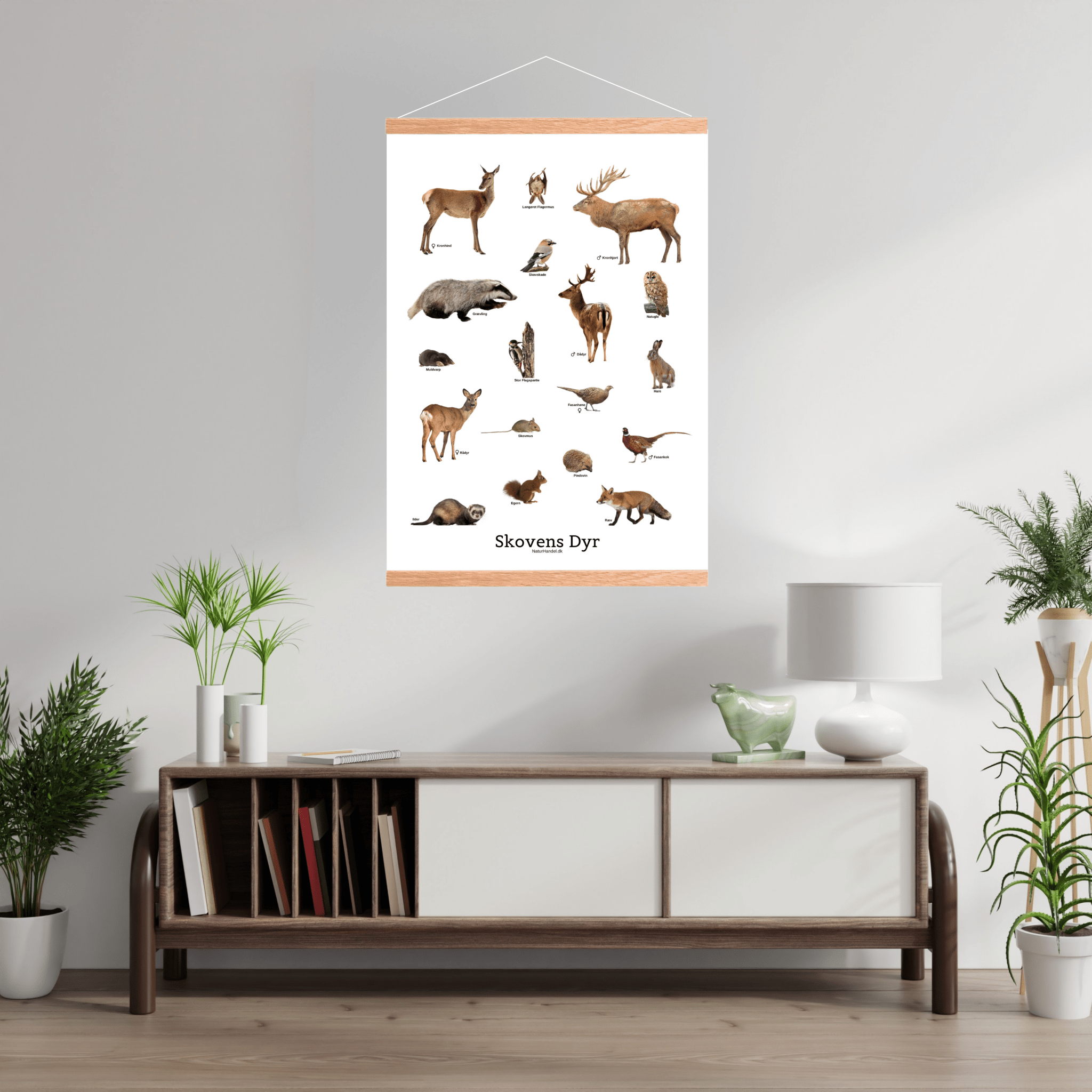 Skovens Dyr Plakat - NaturHandel.dk