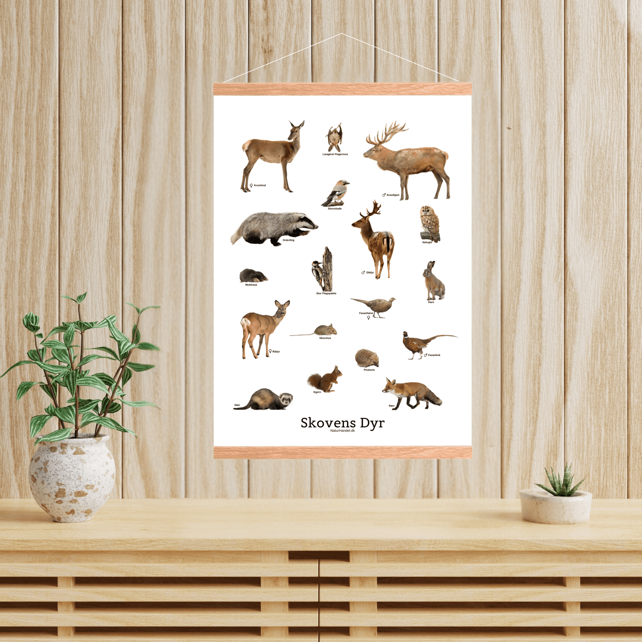Skovens Dyr Plakat - NaturHandel.dk