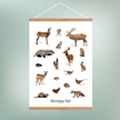 Skovens Dyr Plakat - NaturHandel.dk