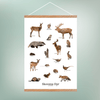 Skovens Dyr Plakat - NaturHandel.dk