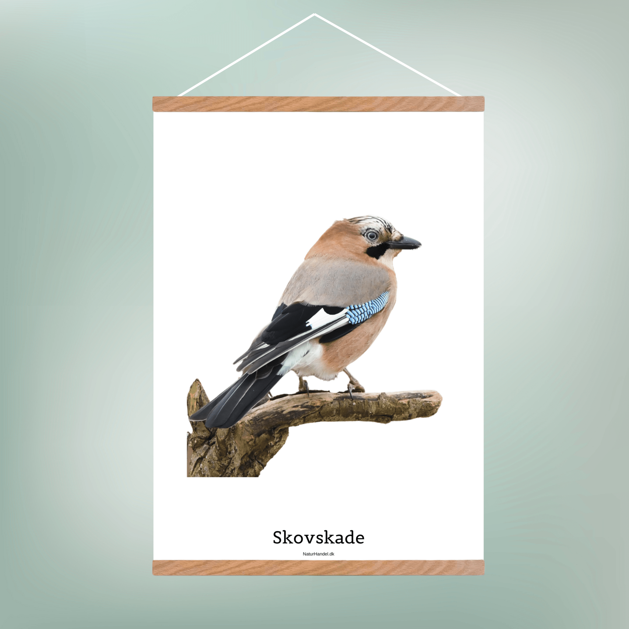 Skovskade - NaturHandel.dk