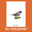 SKOVSPURV A6 FUGLEKORT - PR. STK. - NaturHandel.dk