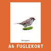 SKOVSPURV A6 FUGLEKORT - PR. STK. - NaturHandel.dk