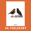 SOLSORT A6 FUGLEKORT - PR. STK. - NaturHandel.dk