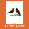 SOLSORT A6 FUGLEKORT - PR. STK. - NaturHandel.dk