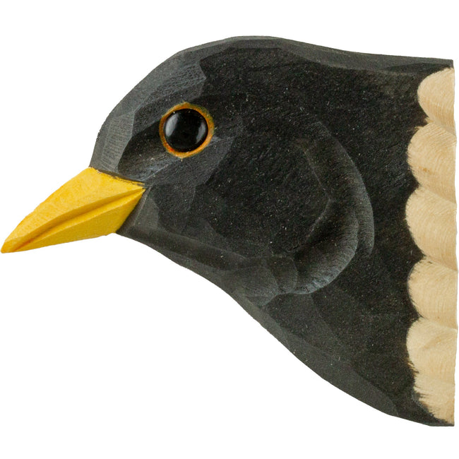 Solsort Magnet - NaturHandel.dk