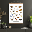 Sommerfugle Plakat - NaturHandel.dk