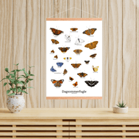 Sommerfugle Plakat - NaturHandel.dk