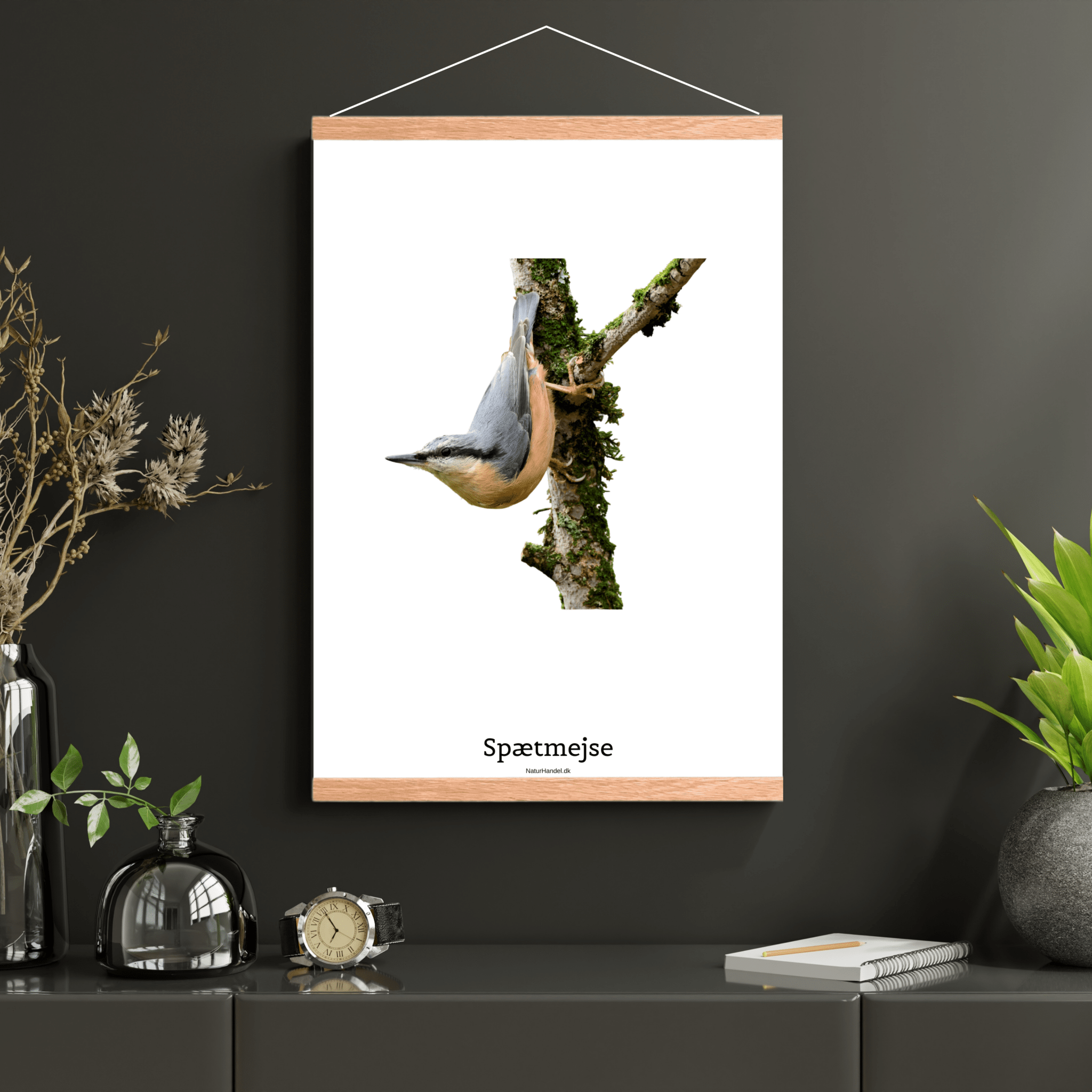 Spætmejse - NaturHandel.dk