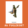 SPÆTMEJSE A6 FUGLEKORT - PR. STK. - NaturHandel.dk