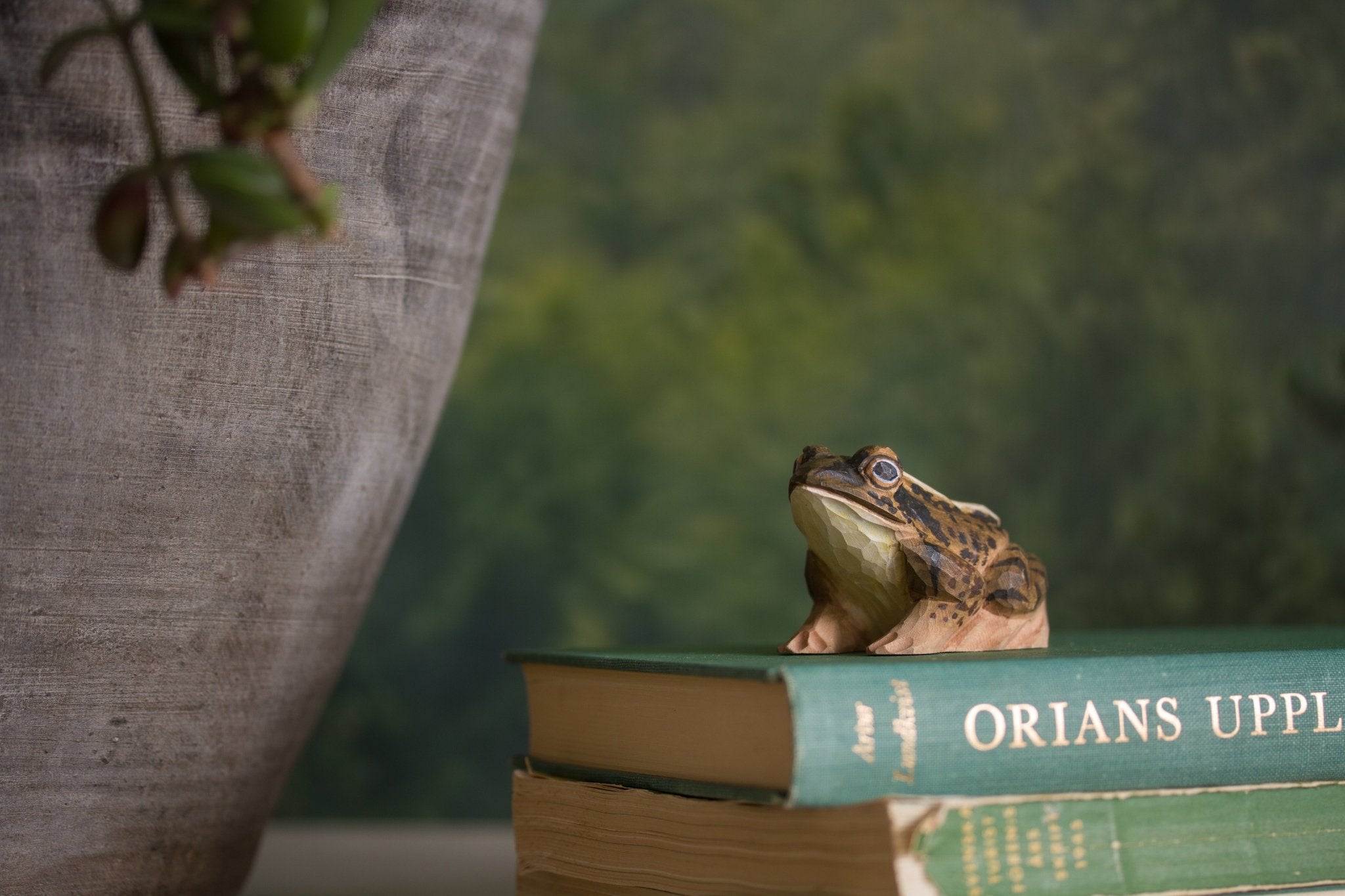 Spidssnudet Frø træfigur - NaturHandel.dk