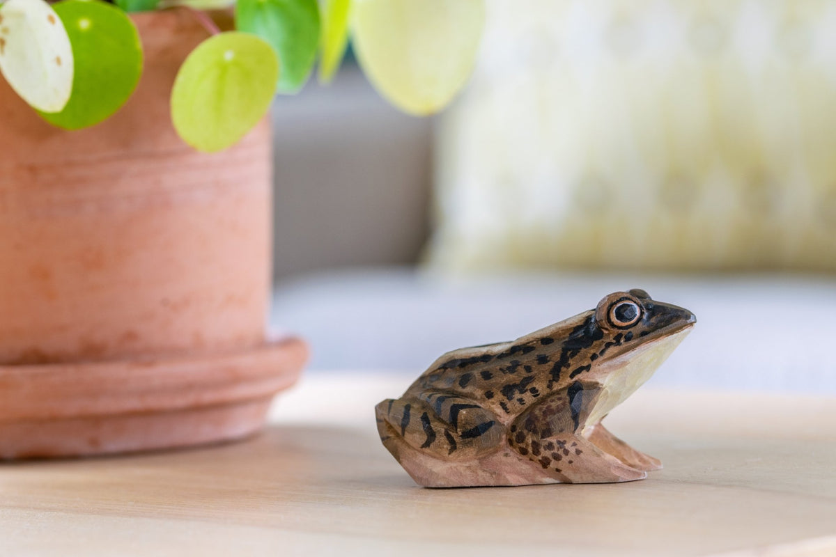 Spidssnudet Frø træfigur - NaturHandel.dk