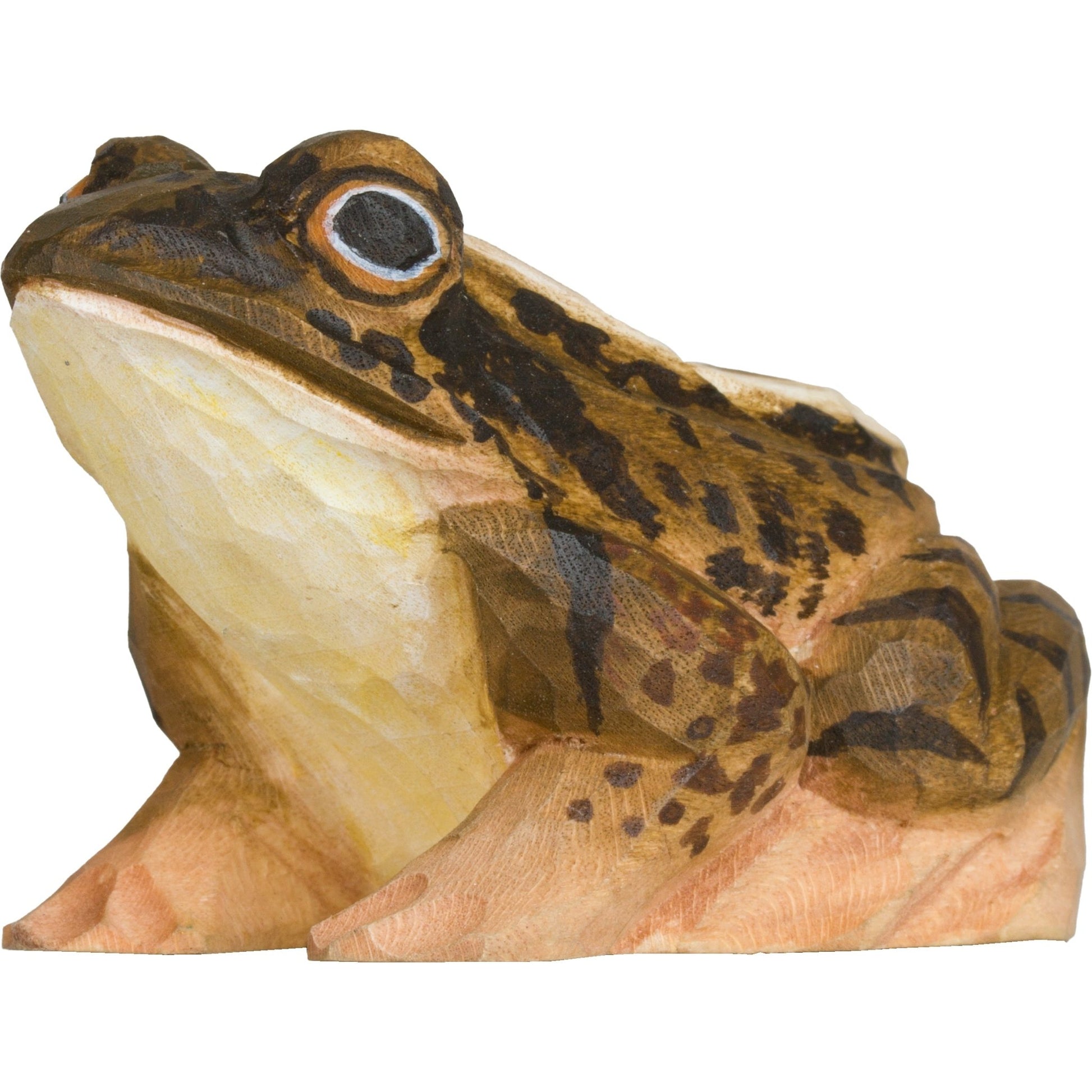 Spidssnudet Frø træfigur - NaturHandel.dk