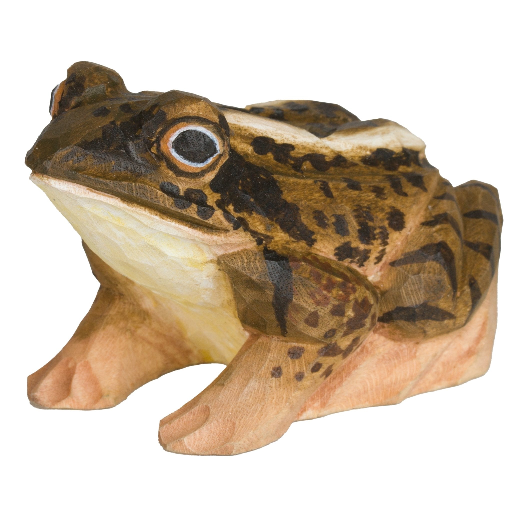 Spidssnudet Frø træfigur - NaturHandel.dk