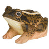 Spidssnudet Frø træfigur - NaturHandel.dk