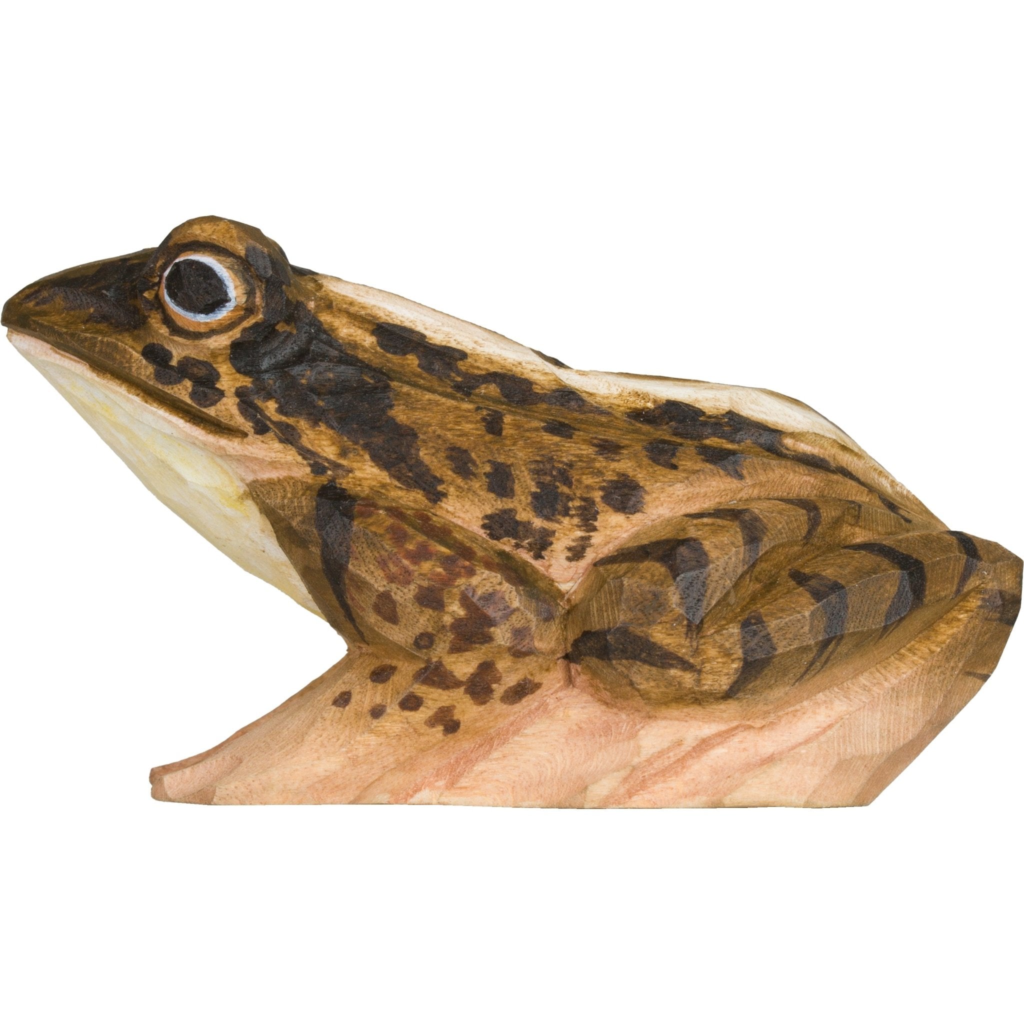 Spidssnudet Frø træfigur - NaturHandel.dk