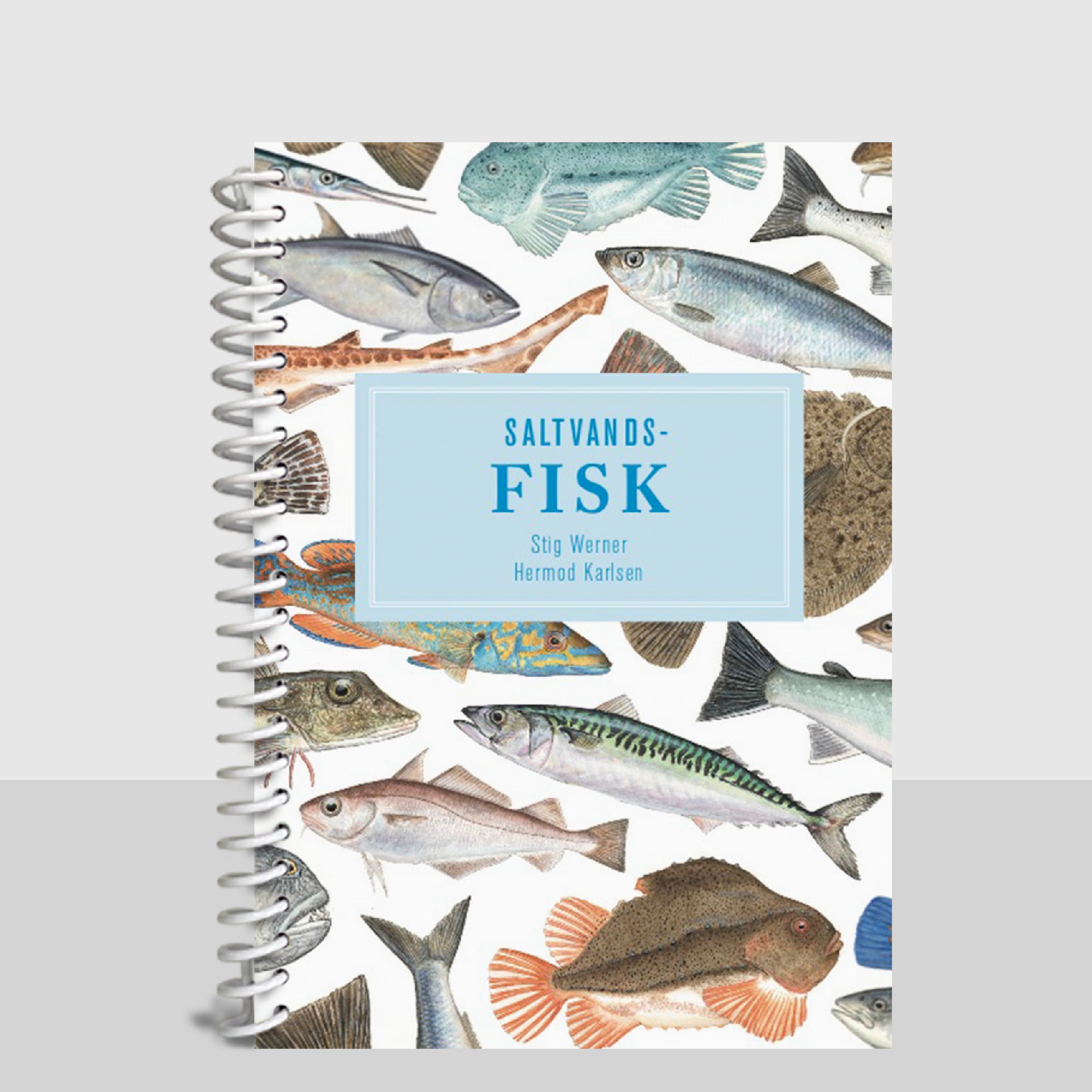 Lommeguide: Saltvandsfisk