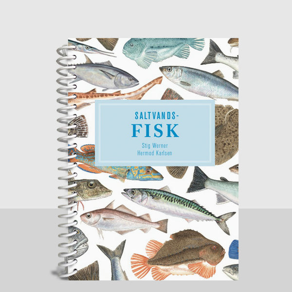 Lommeguide: Saltvandsfisk
