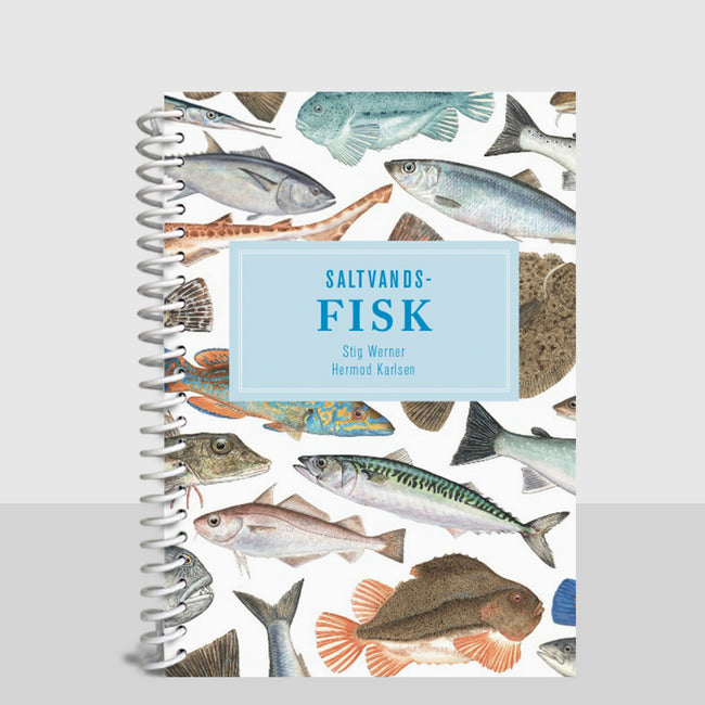 Lommeguide: Saltvandsfisk