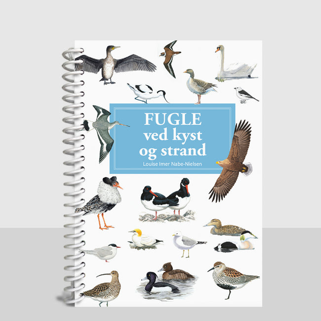 Lommeguide: Fugle ved kyst og strand