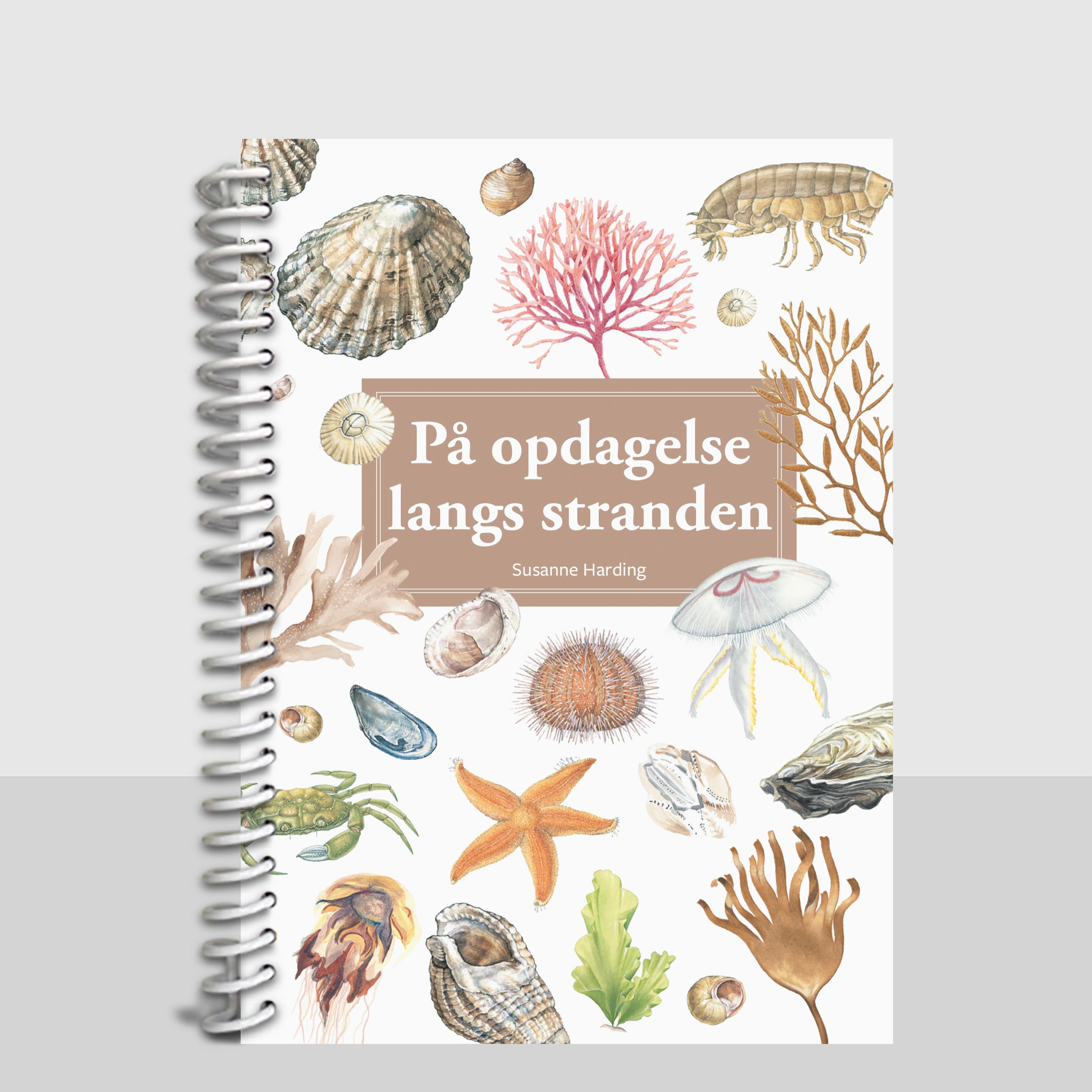 På opdagelse langs stranden