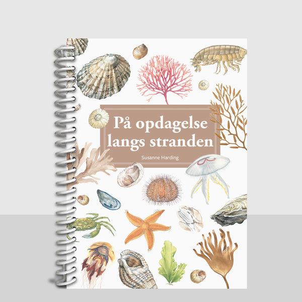 På opdagelse langs stranden