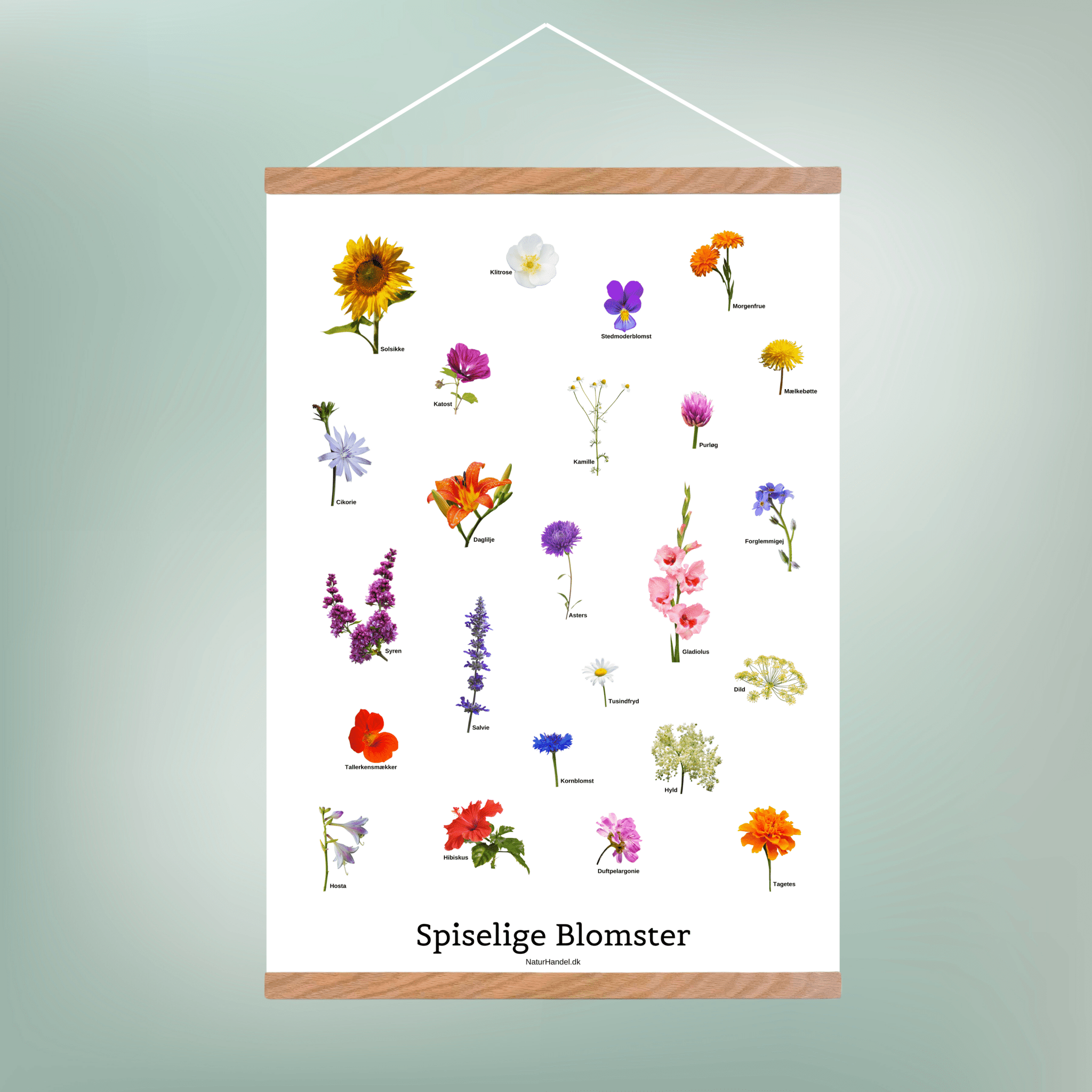 Spiselige Blomster Plakat - NaturHandel.dk
