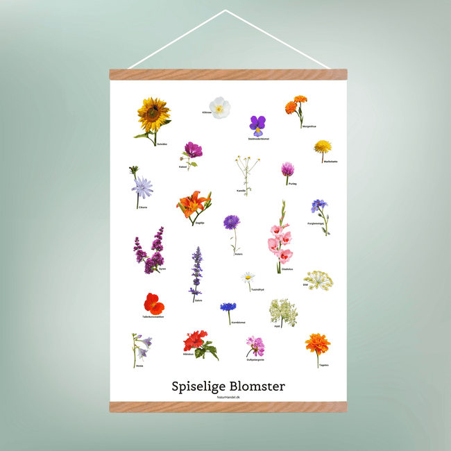 Spiselige Blomster Plakat - NaturHandel.dk