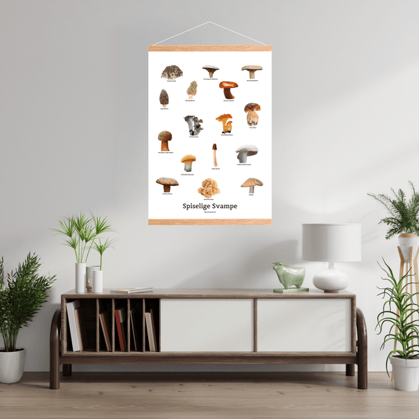 Spiselige Svampe Plakat - NaturHandel.dk