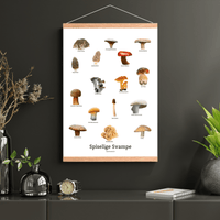 Spiselige Svampe Plakat - NaturHandel.dk