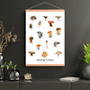Spiselige Svampe Plakat - NaturHandel.dk