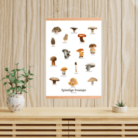 Spiselige Svampe Plakat - NaturHandel.dk