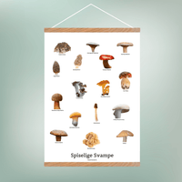 Spiselige Svampe Plakat - NaturHandel.dk