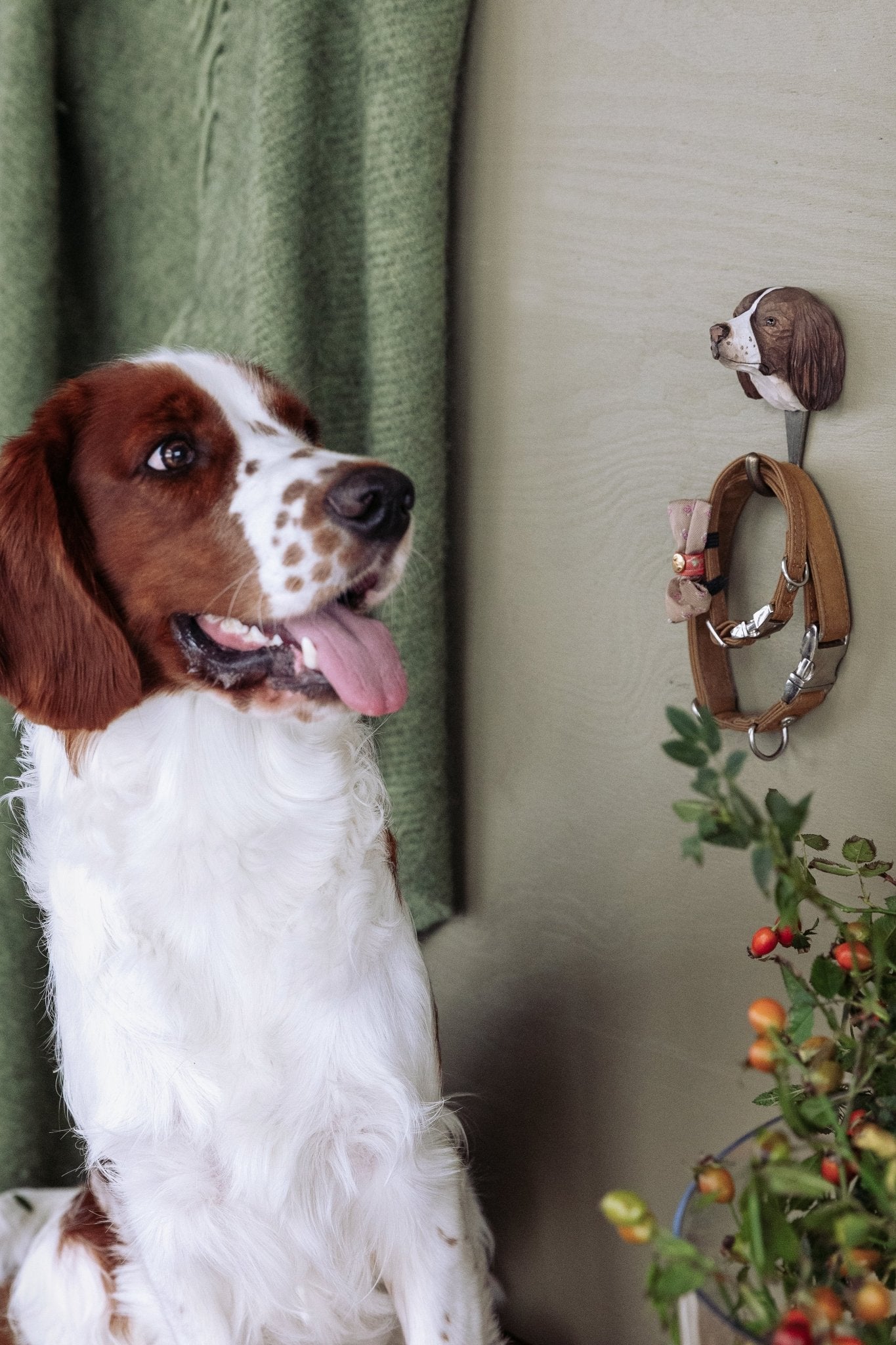 Springer Spaniel knage - NaturHandel.dk