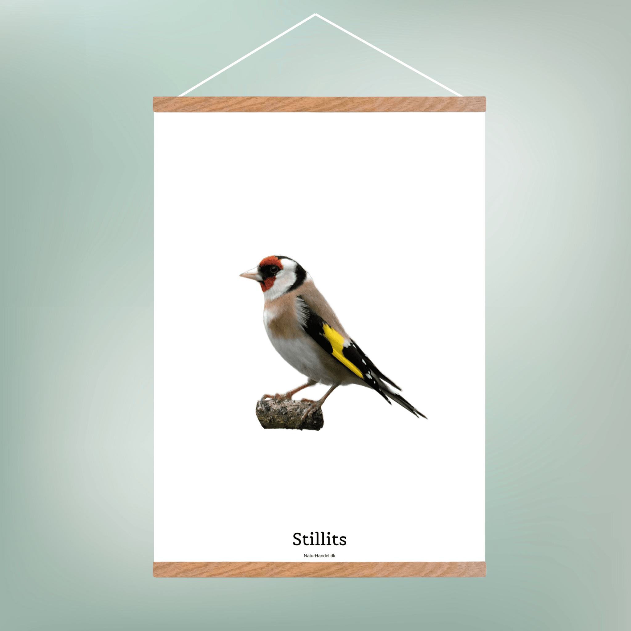 Stillits - NaturHandel.dk