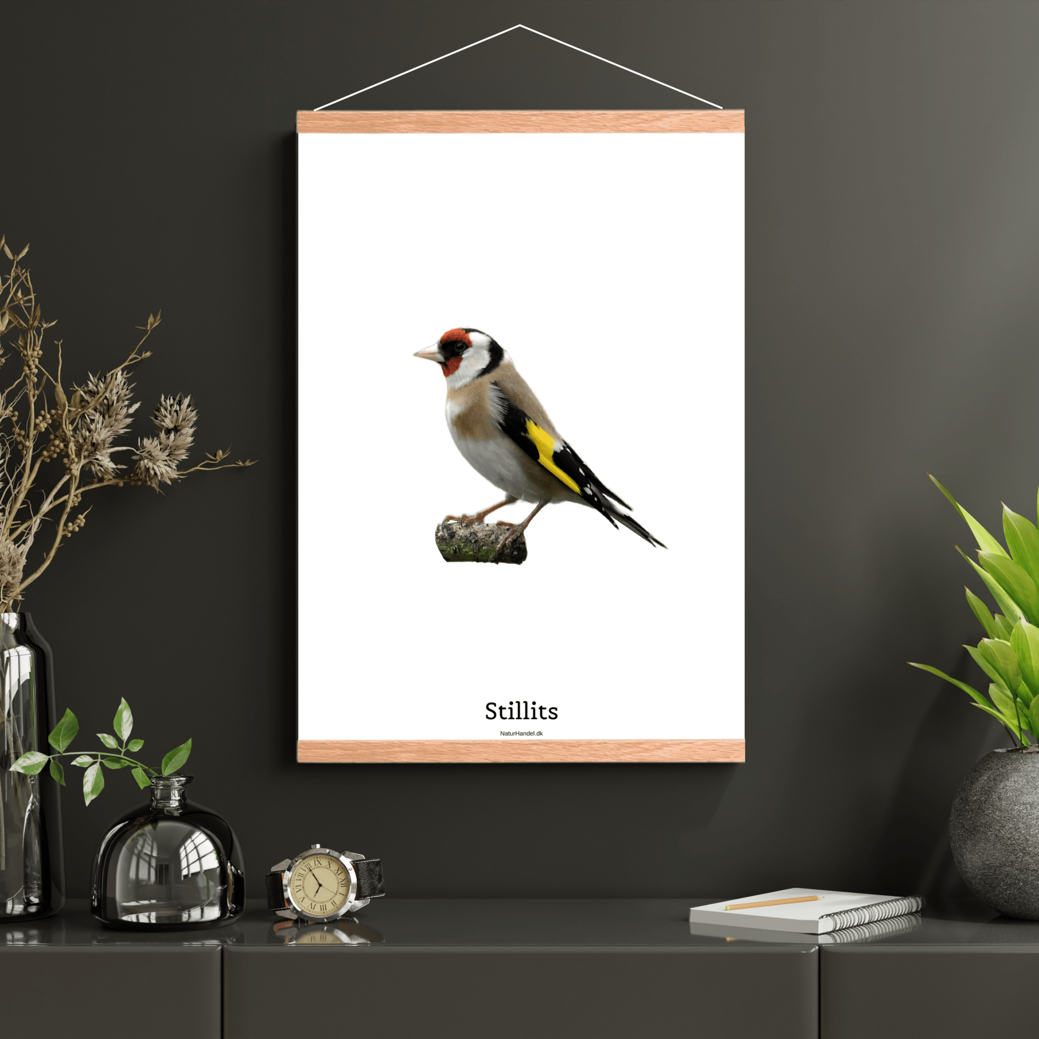 Stillits - NaturHandel.dk