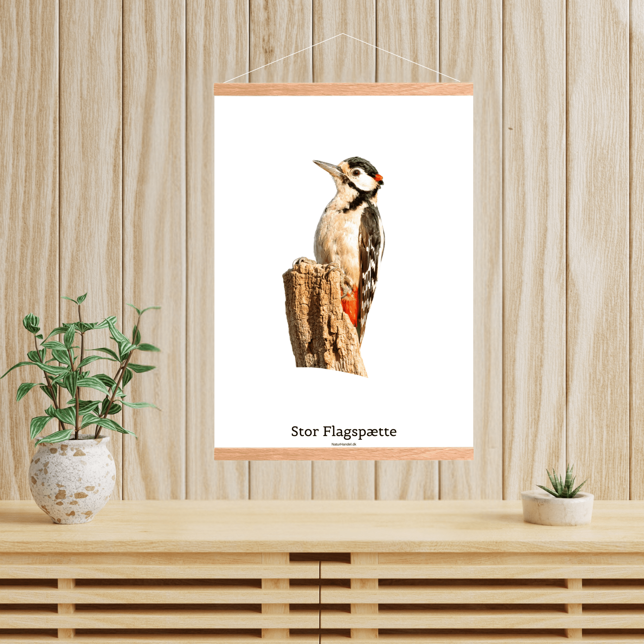 Stor Flagspætte - NaturHandel.dk