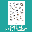 STRAND - OG KYSTFUGLE A6 KORT - NaturHandel.dk