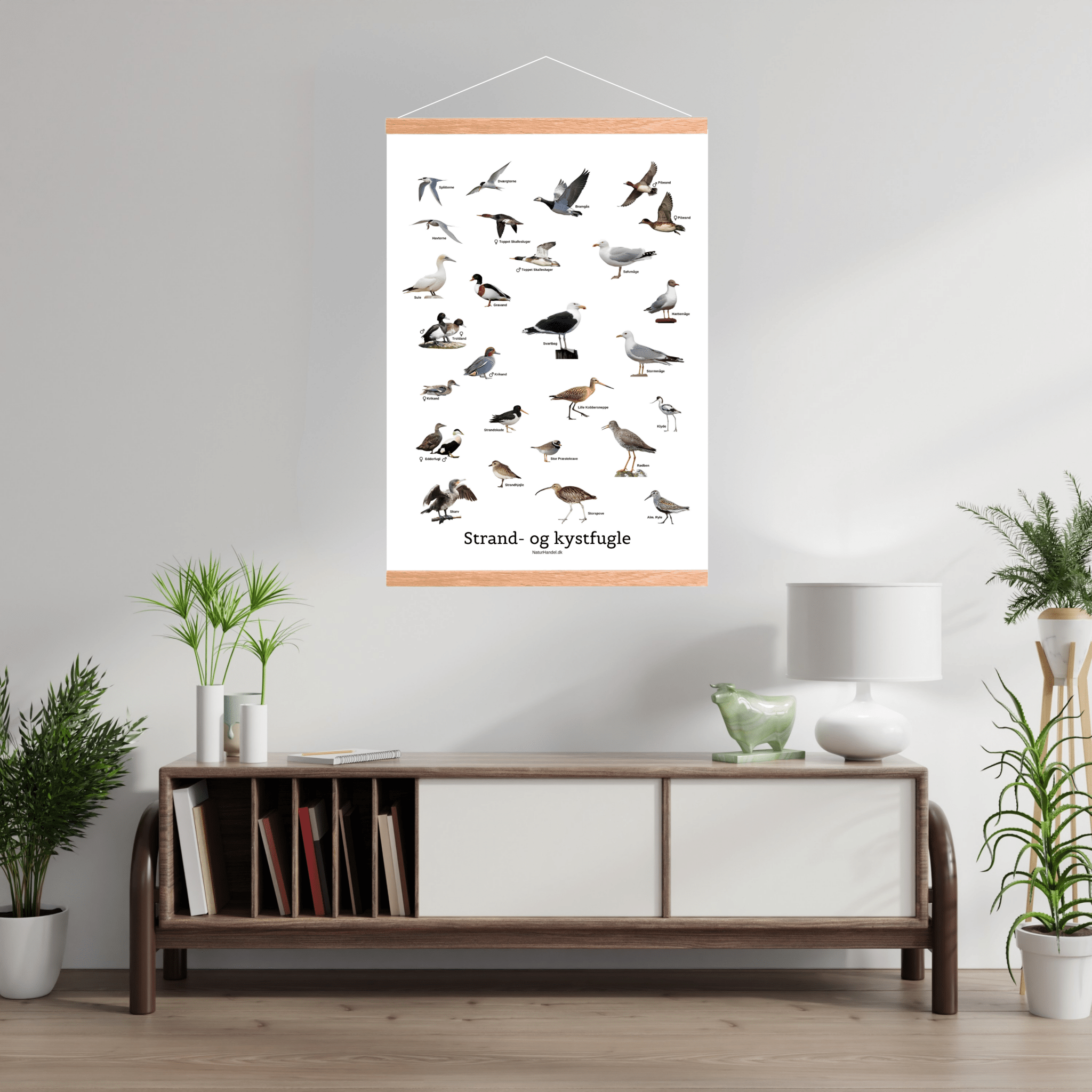 Strand - og Kystfugle Plakat - NaturHandel.dk